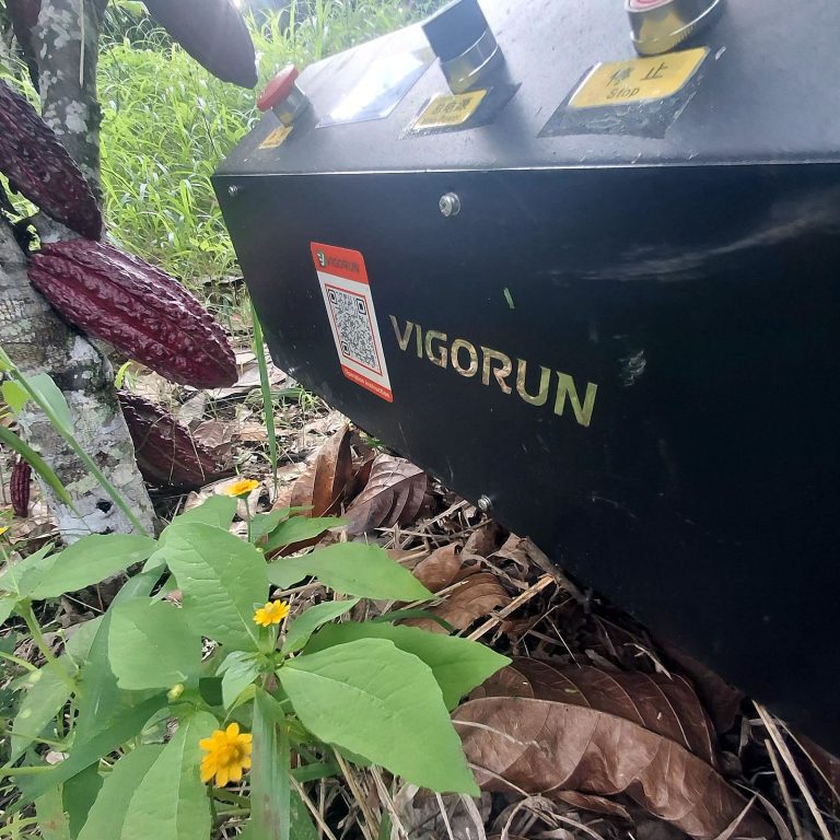 Remote Control Mowing In Cocoa Plantations: Powerful, Precise, And Eco-Friendly