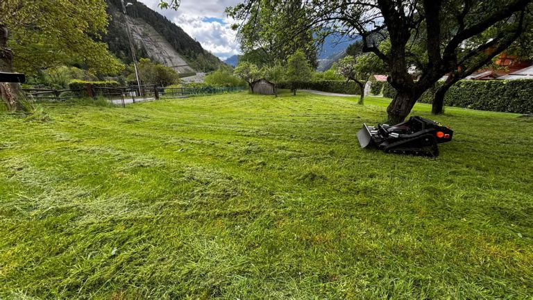 Effortless Performance on Slopes: Swiss Customer Shares VTLM800 Experience